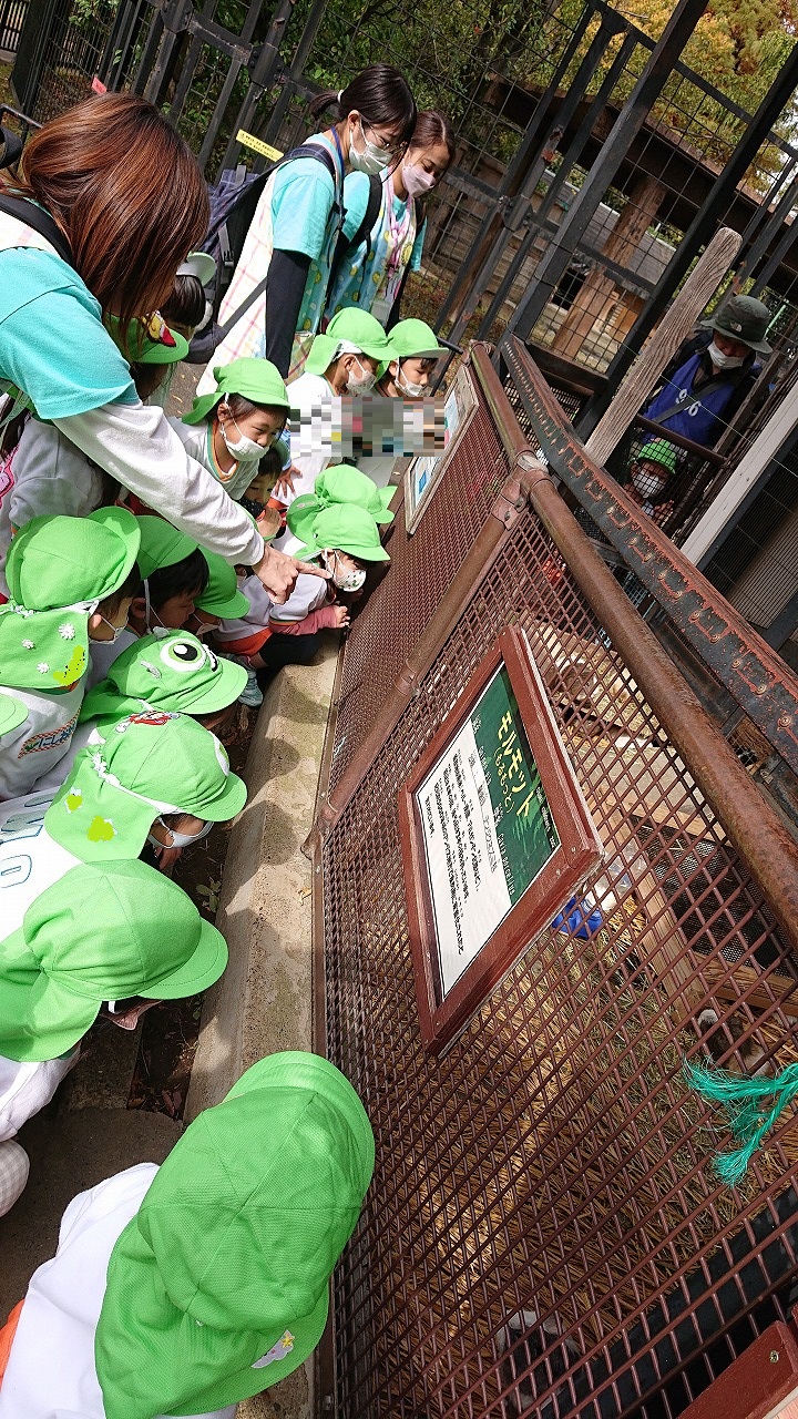 年少組、楽しく動物園見学をしました<br>
