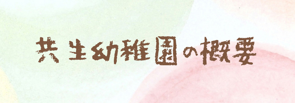 共生幼稚園の概要